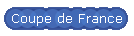 Coupe de France
